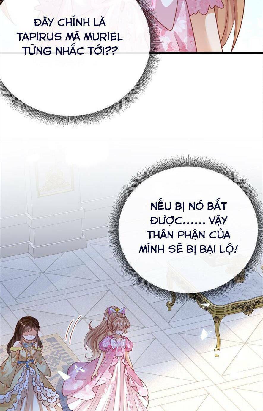 Công Chúa Bị Ruồng Bỏ: Chapter 47