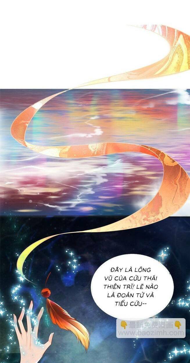 Cùng Ngự Thần Thú Báo Thù: Chapter 81