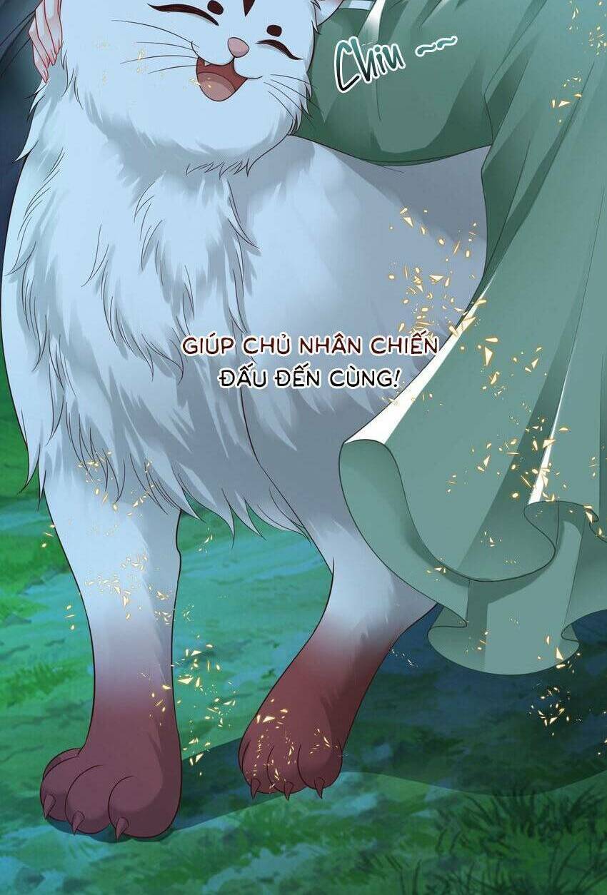 Cùng Ngự Thần Thú Báo Thù: Chapter 84