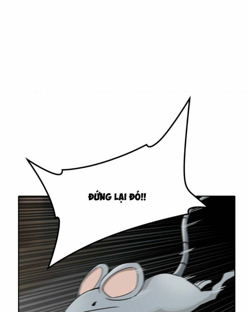 Cuộc Chiến Trong Tòa Tháp - Tower Of God: Chapter 490