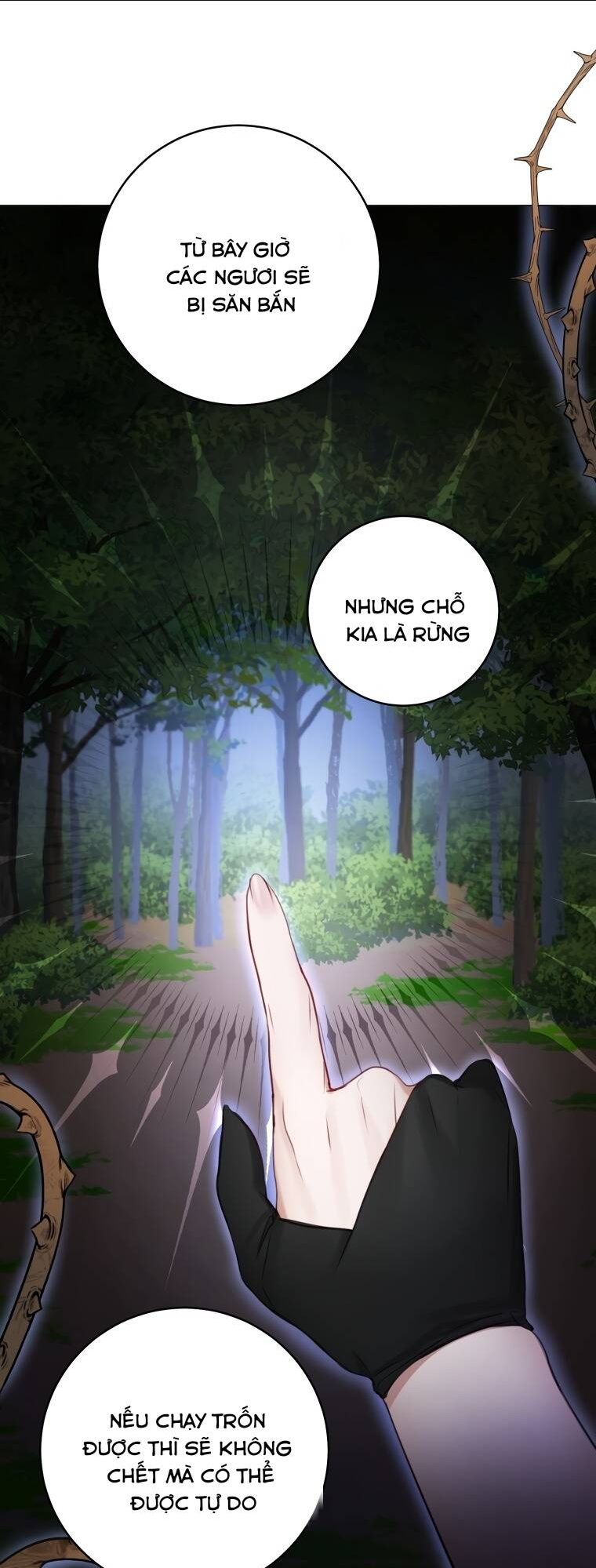 Cuộc Hôn Nhân Xa Hoa Của Đại Công Tước Là Giả: Chapter 22