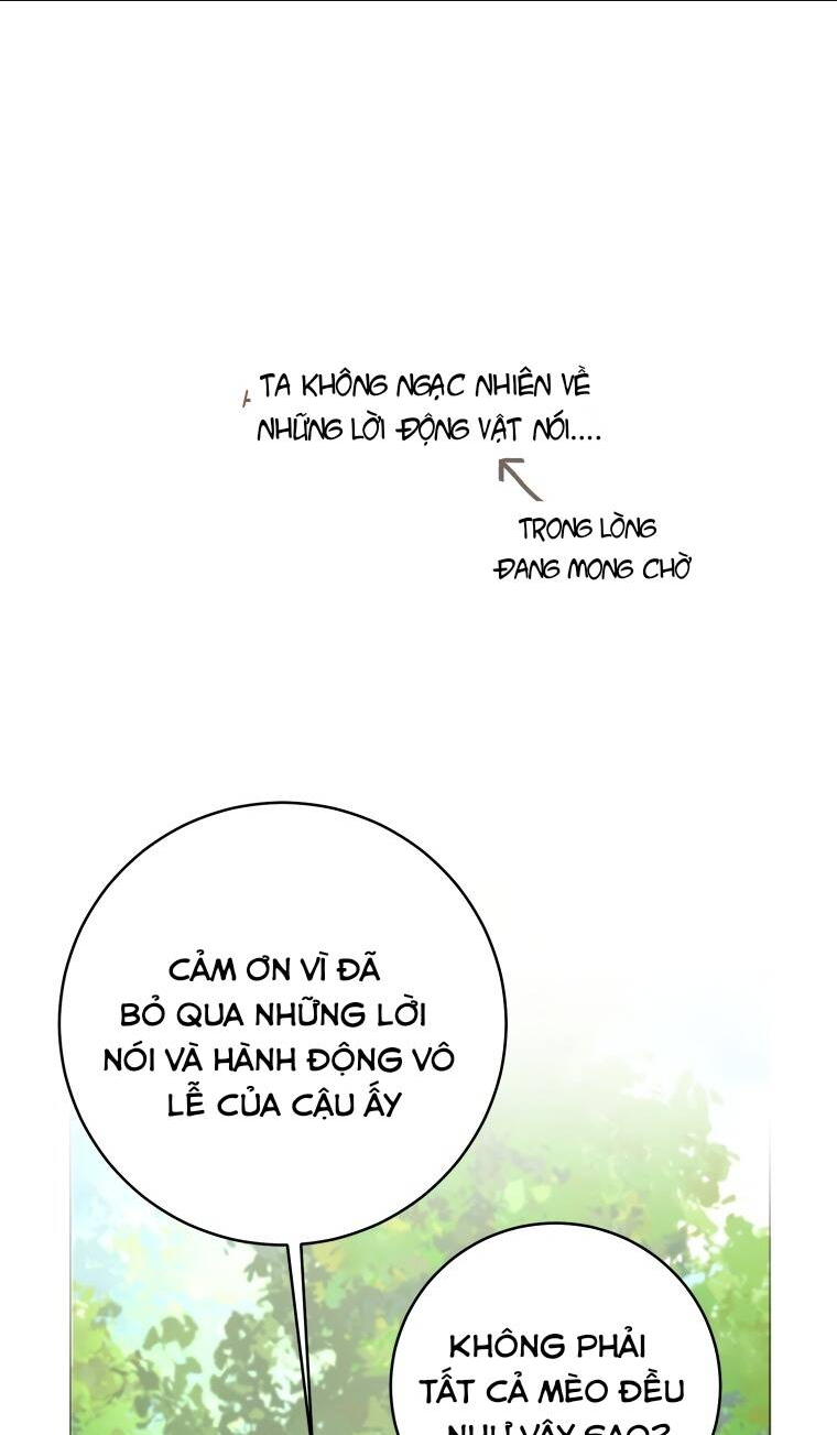 Cuộc Hôn Nhân Xa Hoa Của Đại Công Tước Là Giả: Chapter 22