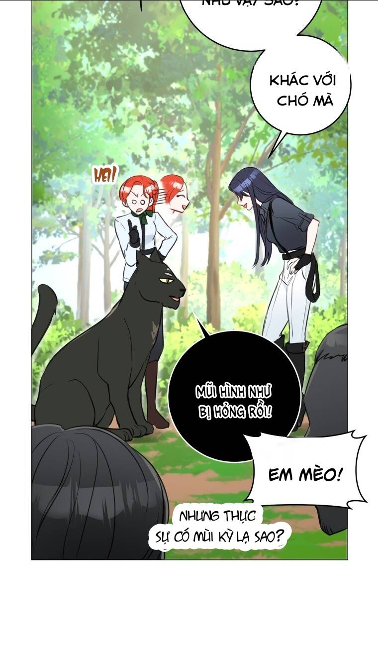 Cuộc Hôn Nhân Xa Hoa Của Đại Công Tước Là Giả: Chapter 22