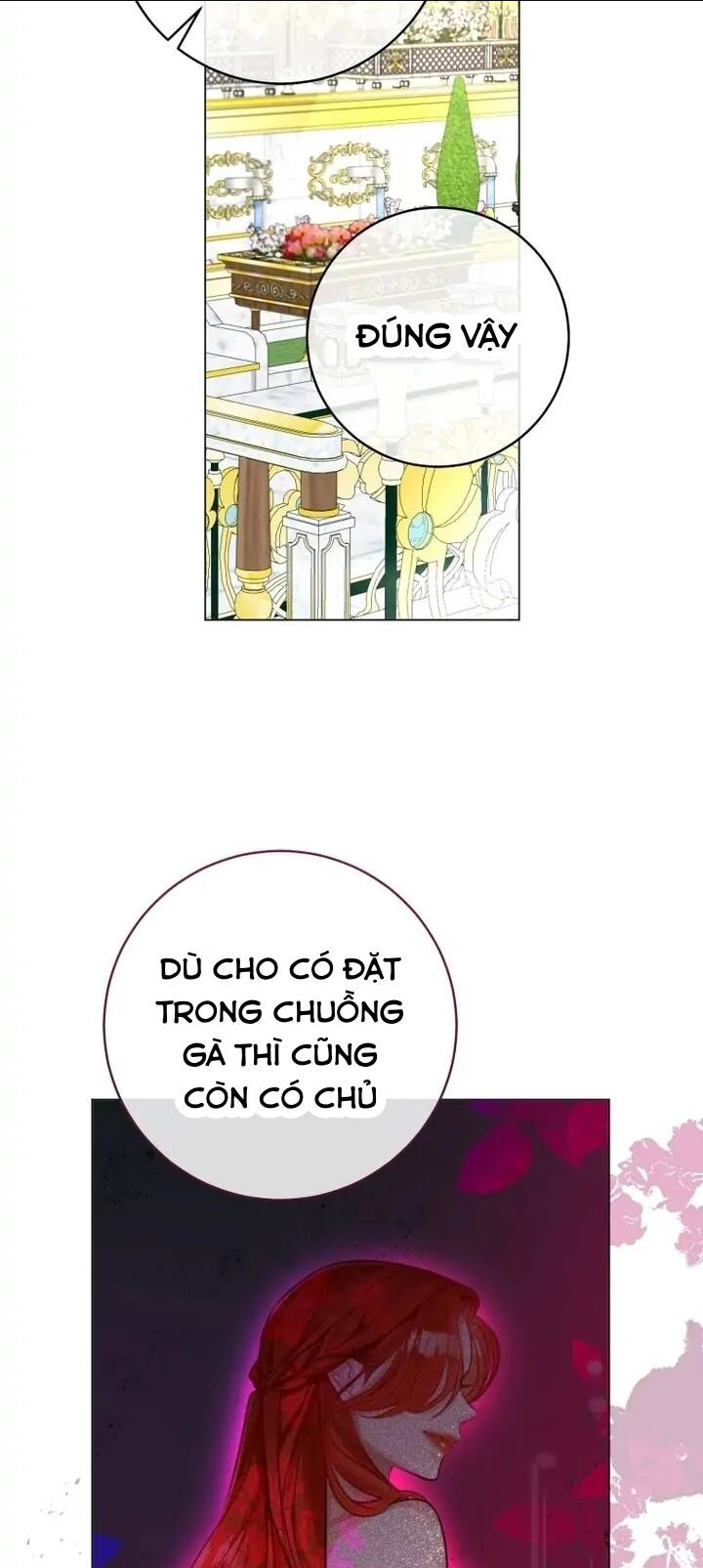Cuộc Hôn Nhân Xa Hoa Của Đại Công Tước Là Giả: Chapter 35