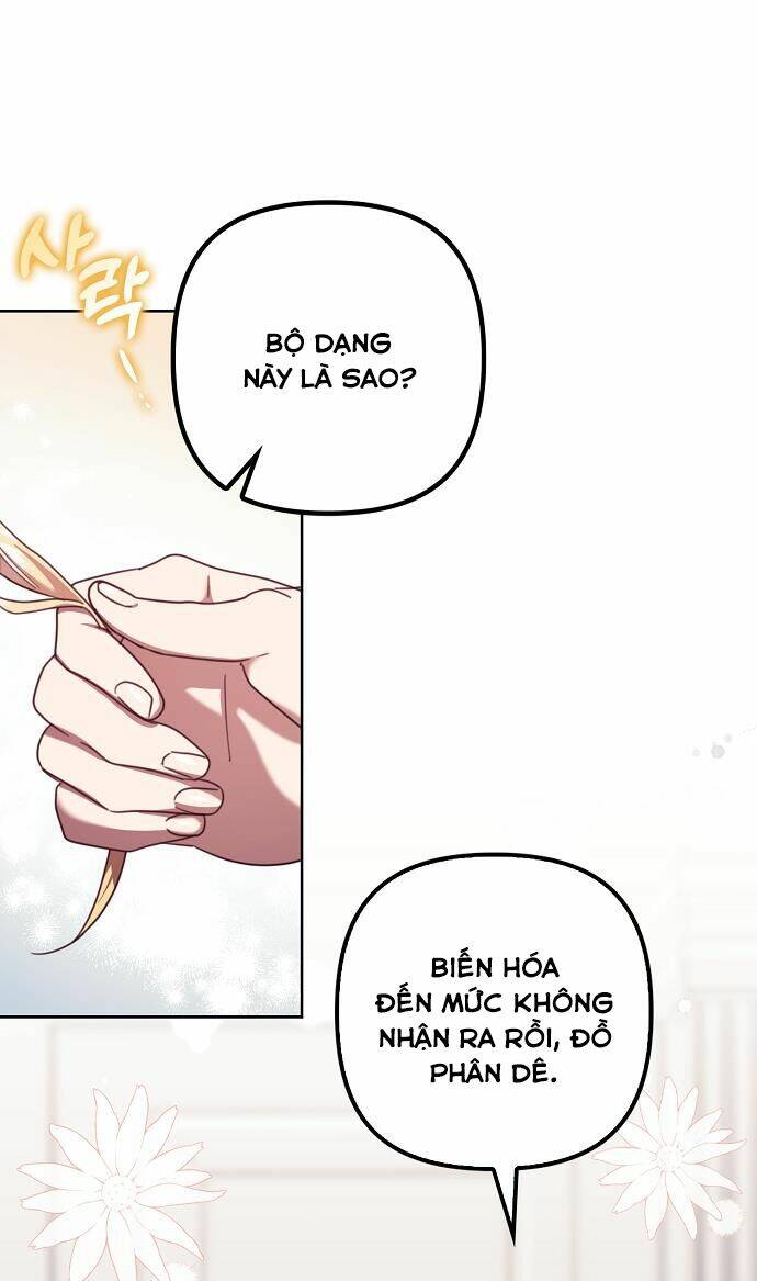 Cuộc Sống Độc Thân Giản Dị Của Quý Cô Bị Bỏ Rơi: Chapter 22