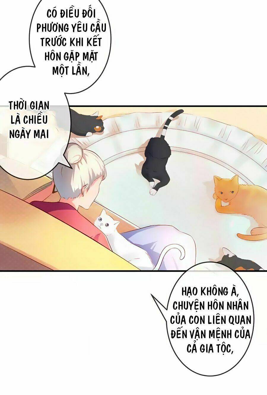 Clover: Chapter 1