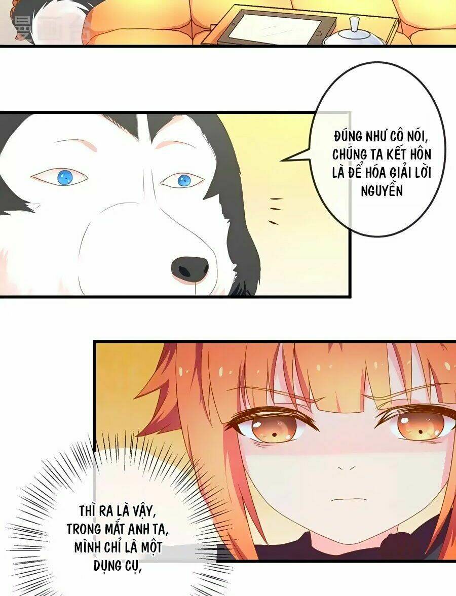 Clover: Chapter 11