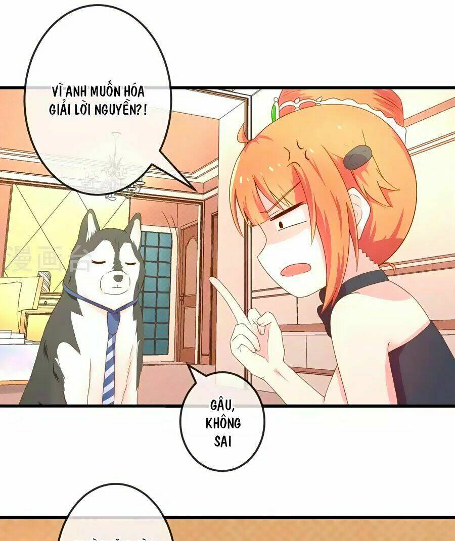 Clover: Chapter 11