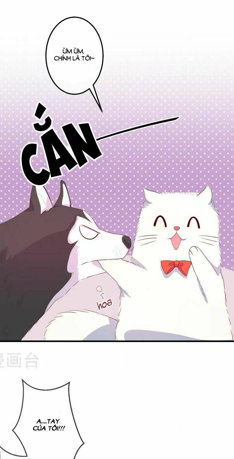 Clover: Chapter 23