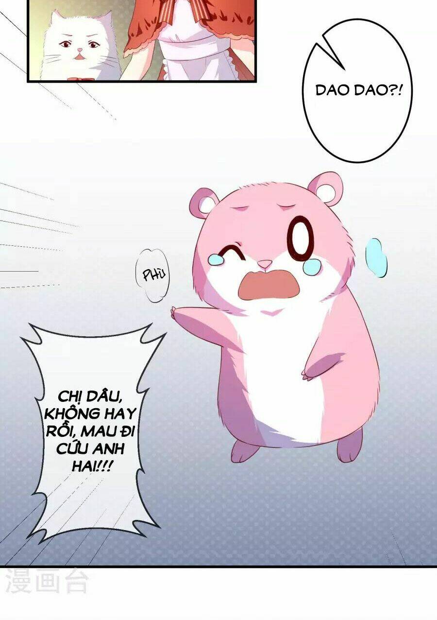 Clover: Chapter 25