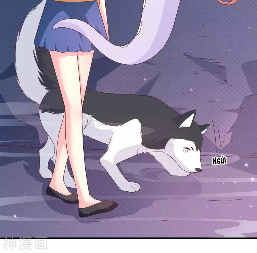 Clover: Chapter 40