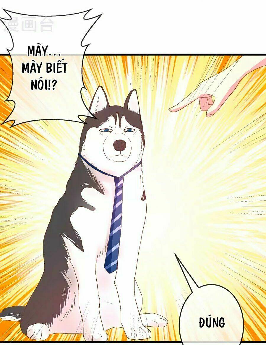 Clover: Chapter 9
