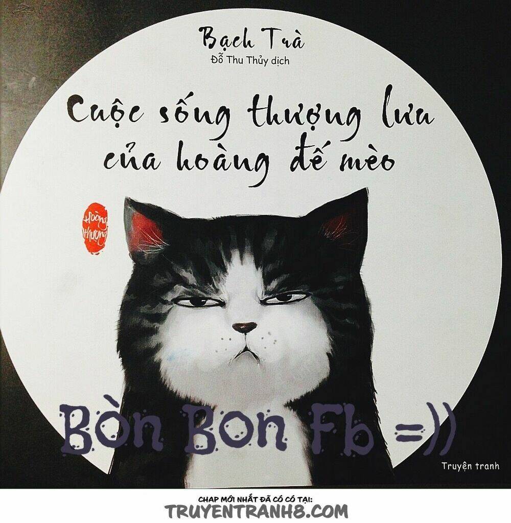 Cuộc Sống Thượng Lưu Của Hoàng Đế Mèo: Chapter 1