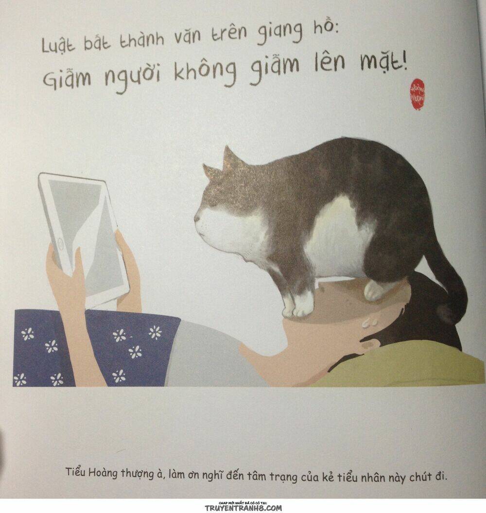 Cuộc Sống Thượng Lưu Của Hoàng Đế Mèo: Chapter 2