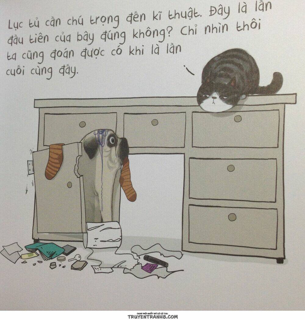 Cuộc Sống Thượng Lưu Của Hoàng Đế Mèo: Chapter 4