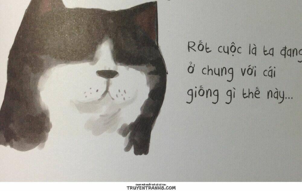 Cuộc Sống Thượng Lưu Của Hoàng Đế Mèo: Chapter 8