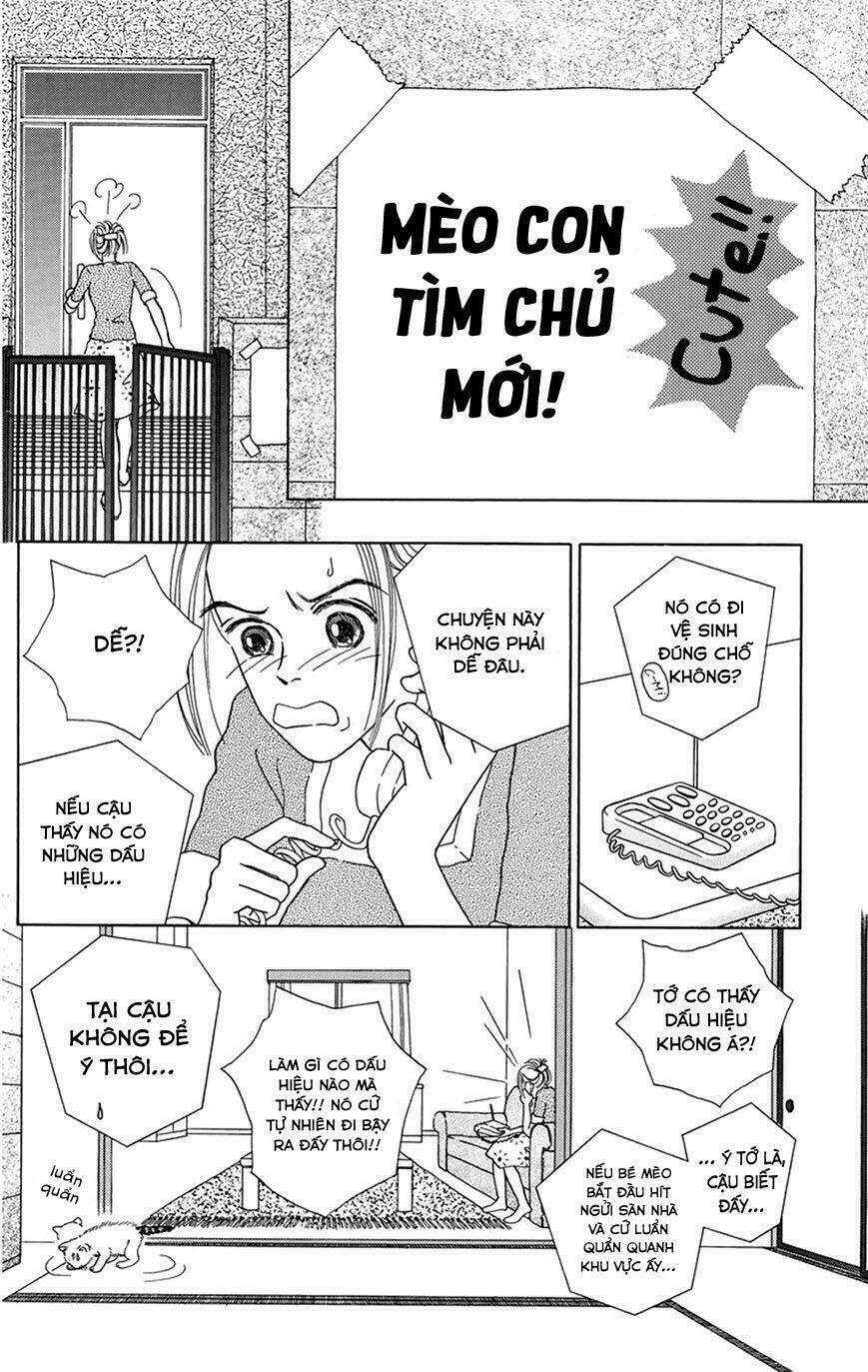 Cuộc sống thường nhật của mèo Zaccho: Chapter 1.5