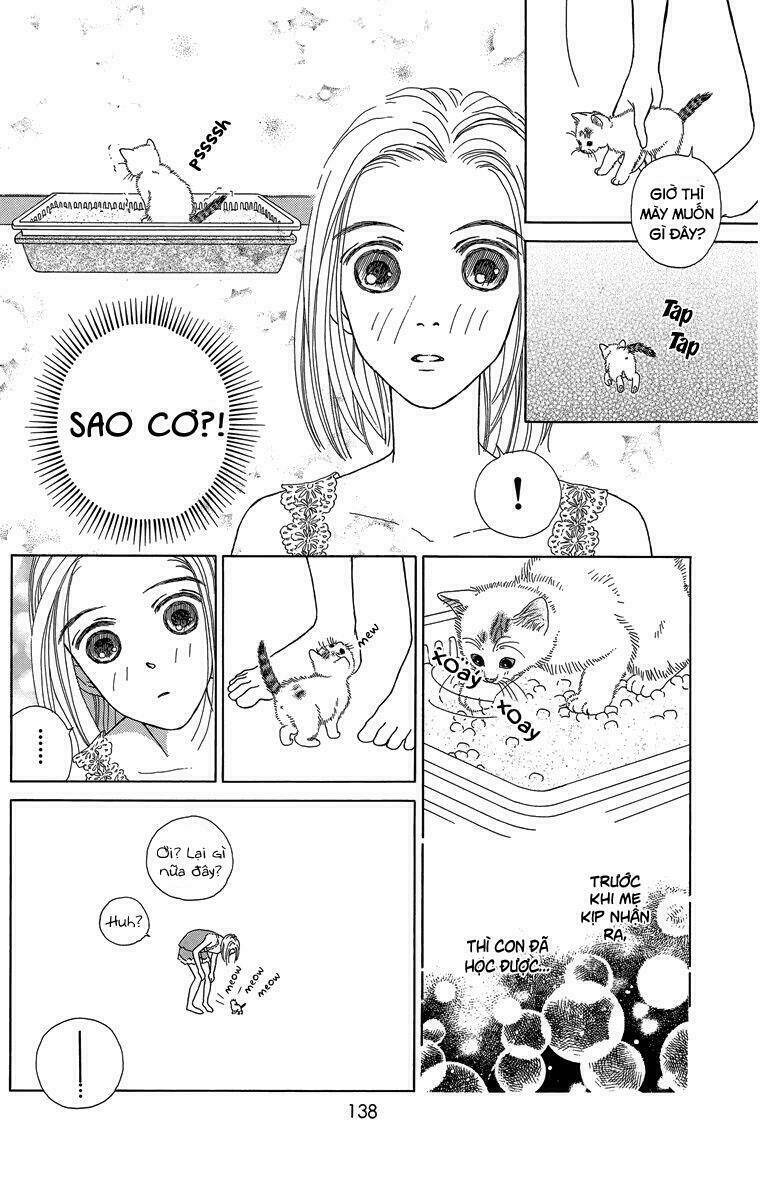 Cuộc sống thường nhật của mèo Zaccho: Chapter 1.5