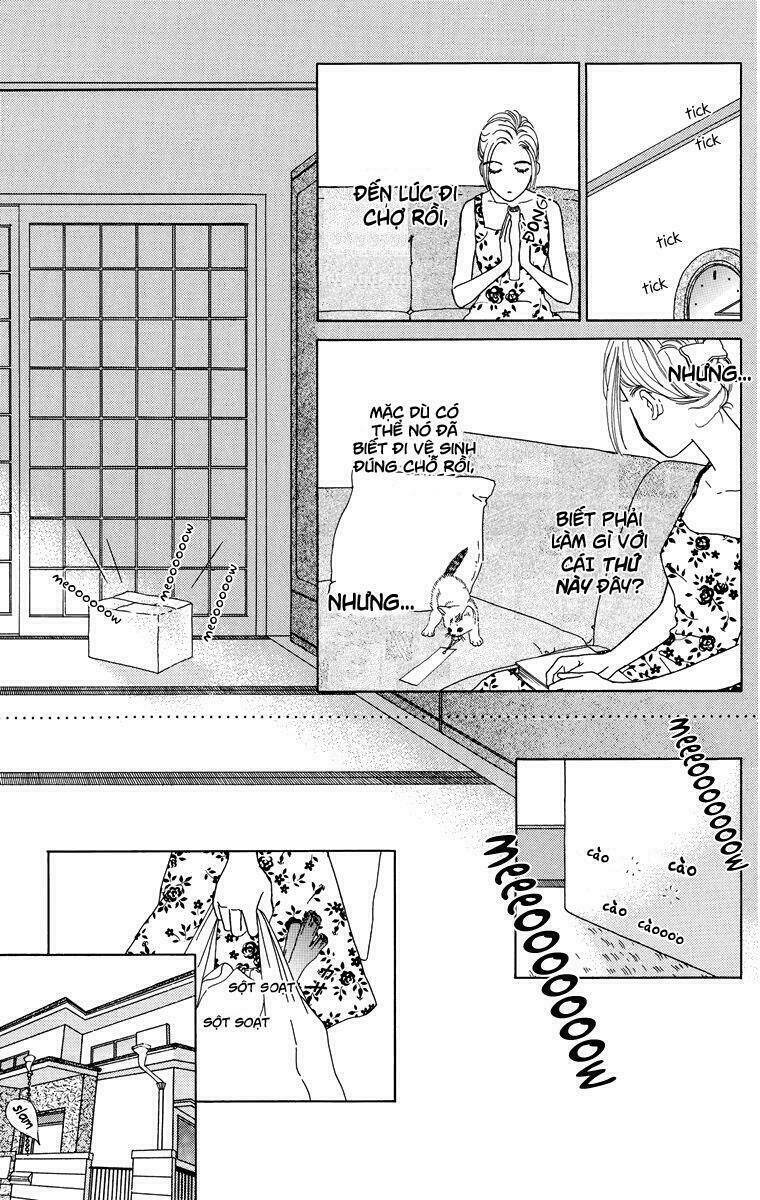 Cuộc sống thường nhật của mèo Zaccho: Chapter 1.5