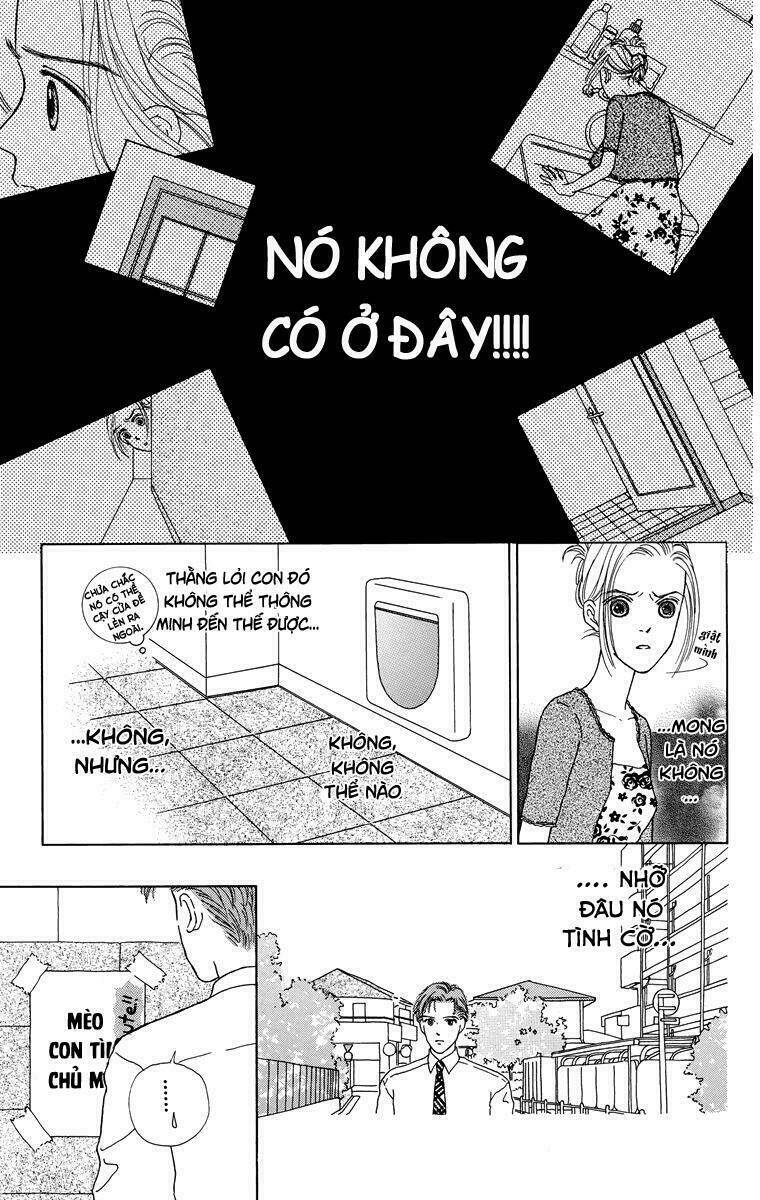 Cuộc sống thường nhật của mèo Zaccho: Chapter 1.5