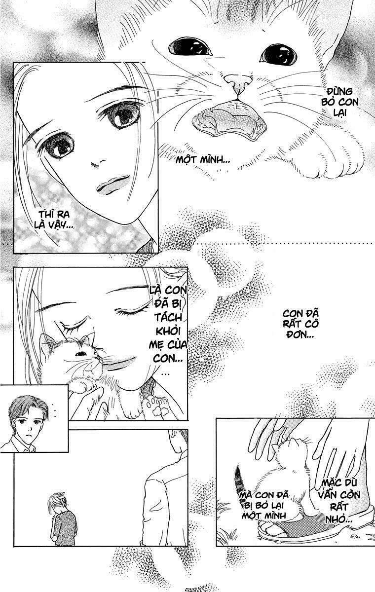 Cuộc sống thường nhật của mèo Zaccho: Chapter 1.5