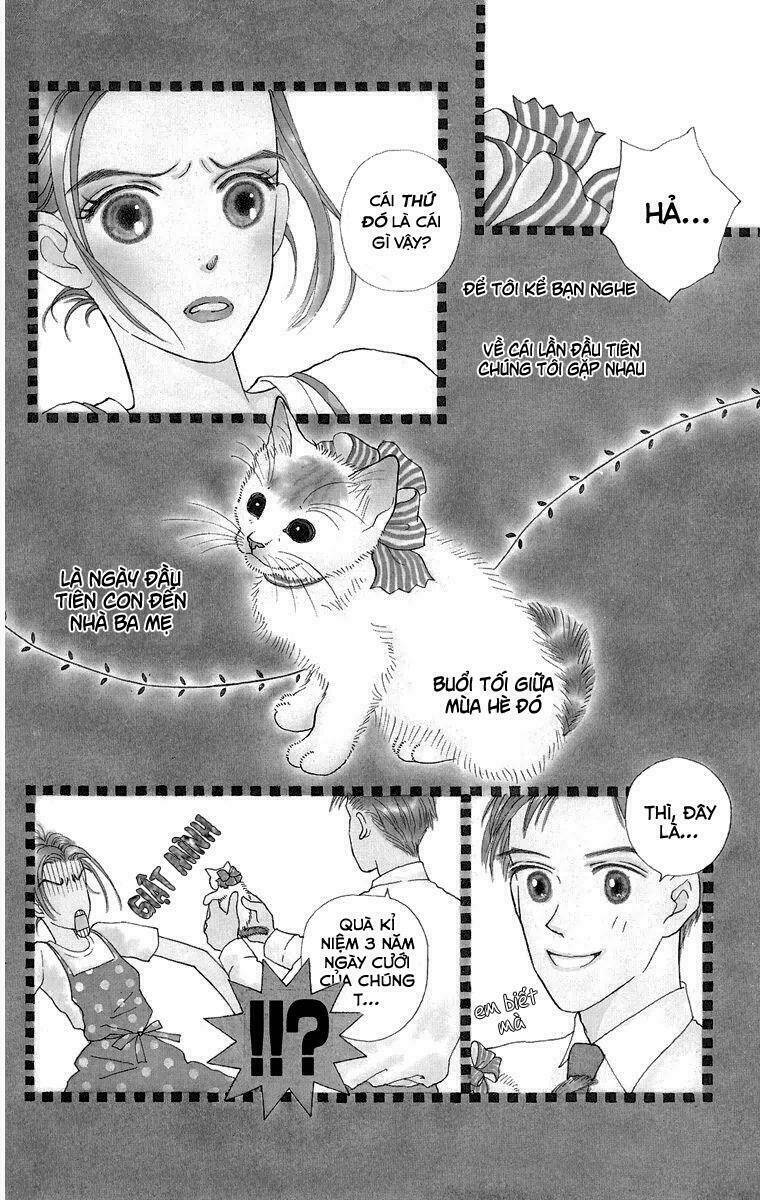 Cuộc sống thường nhật của mèo Zaccho: Chapter 1.5