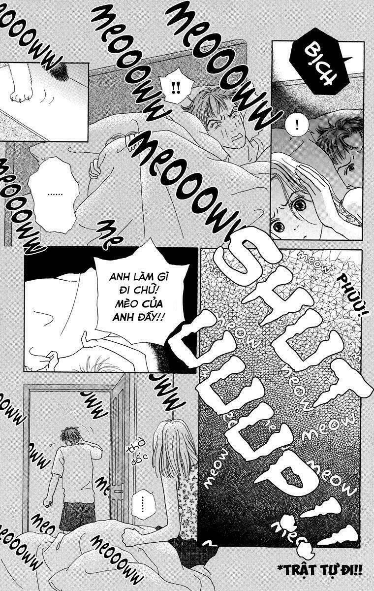 Cuộc sống thường nhật của mèo Zaccho: Chapter 1.5