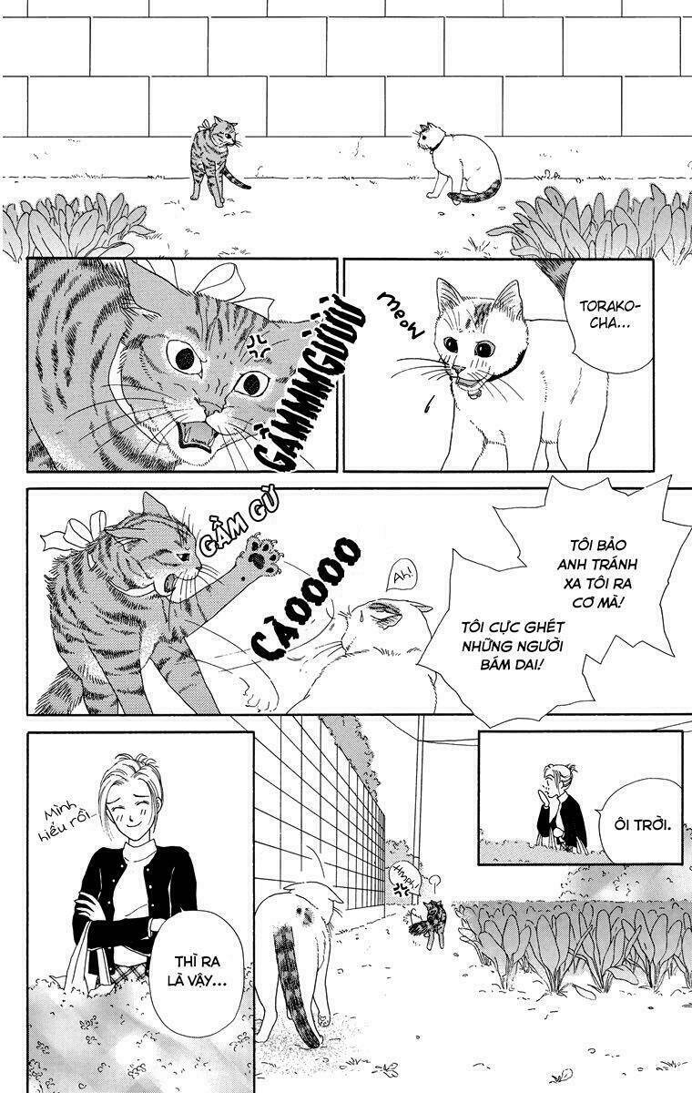 Cuộc sống thường nhật của mèo Zaccho: Chapter 1
