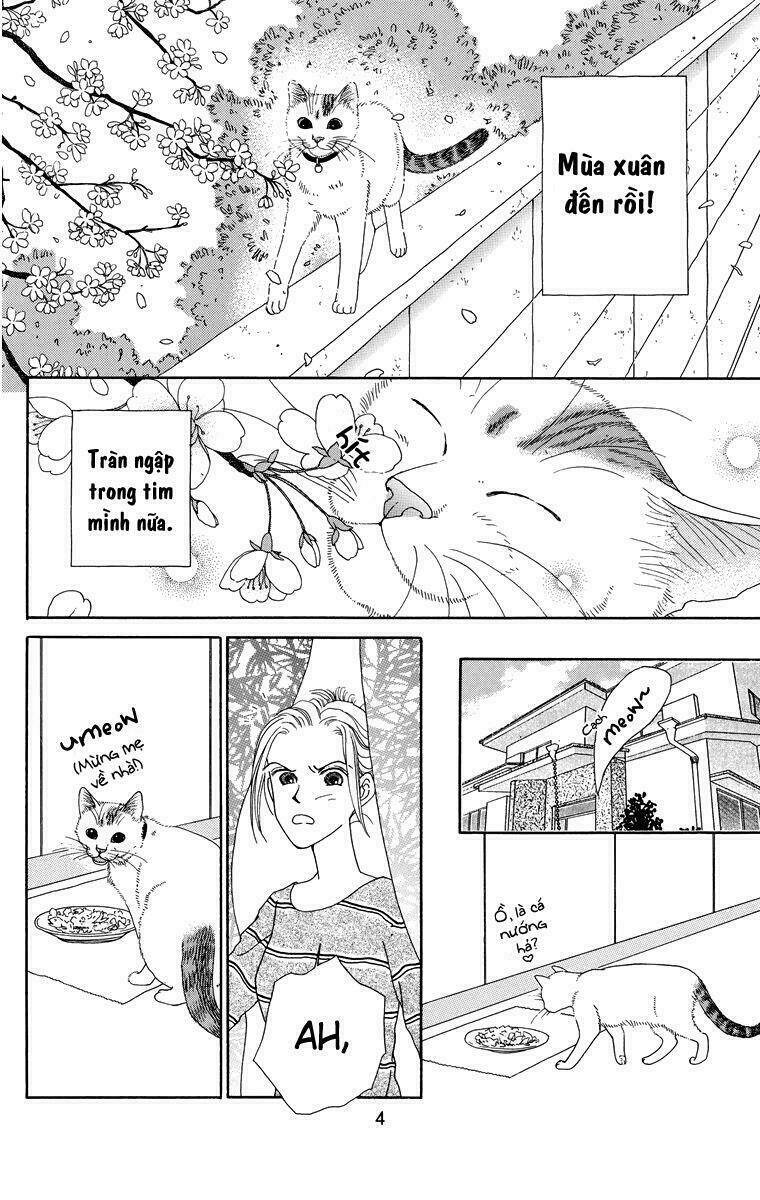 Cuộc sống thường nhật của mèo Zaccho: Chapter 1