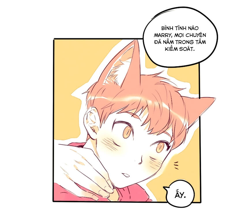 Nhất Sinh Nhất Thế Tiếu Thương Khung: Chapter 11