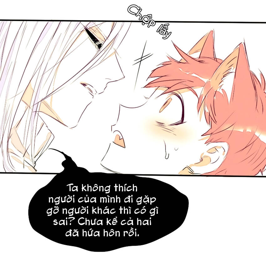 Nhất Sinh Nhất Thế Tiếu Thương Khung: Chapter 11