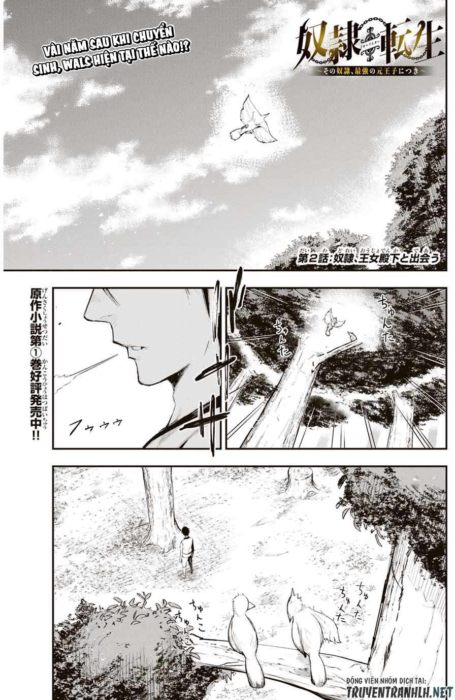 Cựu Hoàng Tử Mạnh Nhất Tái Sinh Thành Nô Lệ: Chapter 2