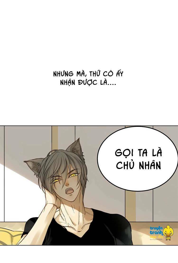Phục Thù Thiếu Gia Tiểu Điềm Thê: Chapter 1