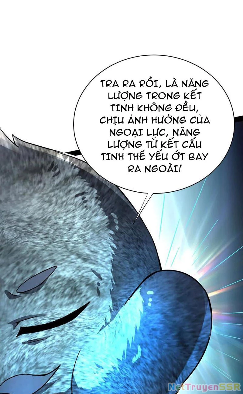 Đại Liên Minh Phản Xuyên Việt Của Bạo Quân: Chapter 84