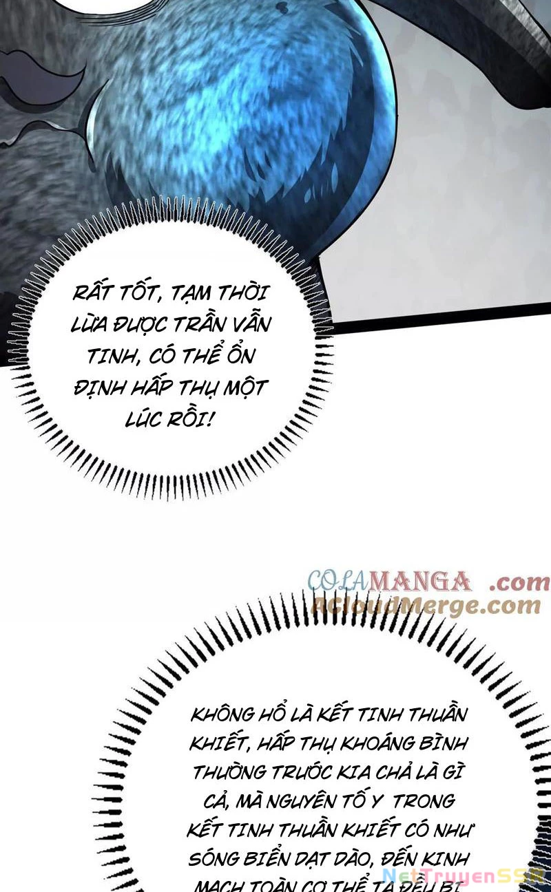 Đại Liên Minh Phản Xuyên Việt Của Bạo Quân: Chapter 84
