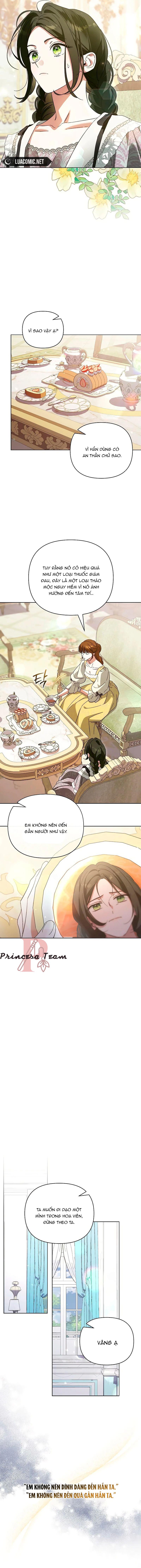 Dành Cho Nàng Juliet Xinh Đẹp: Chapter 1