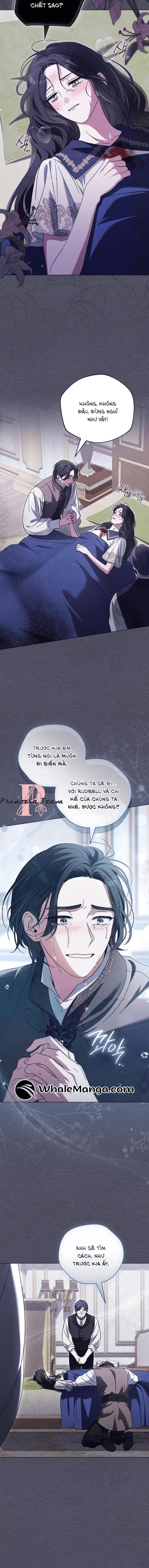 Dành Cho Nàng Juliet Xinh Đẹp: Chapter 10