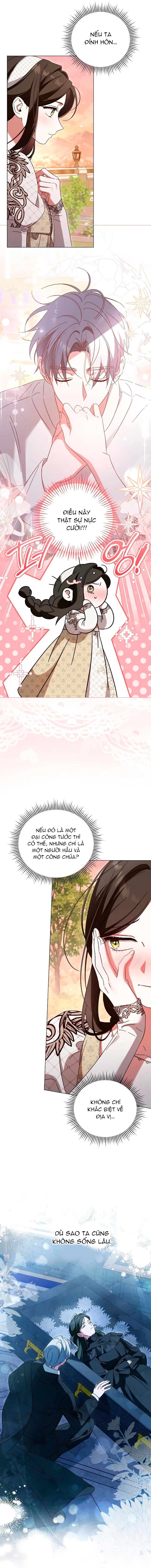 Dành Cho Nàng Juliet Xinh Đẹp: Chapter 3