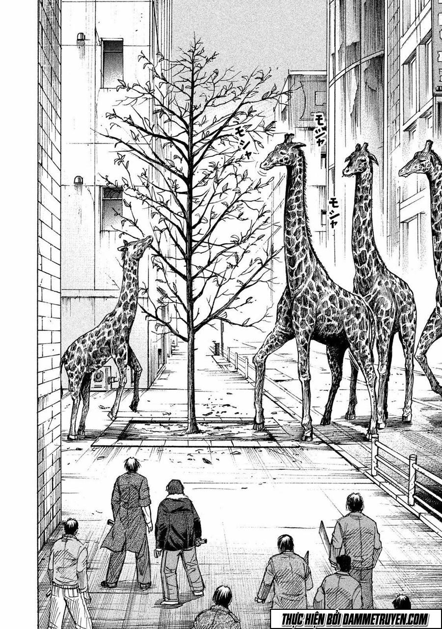 Đảo Ma Cà Rồng Phần 3: Chapter 29