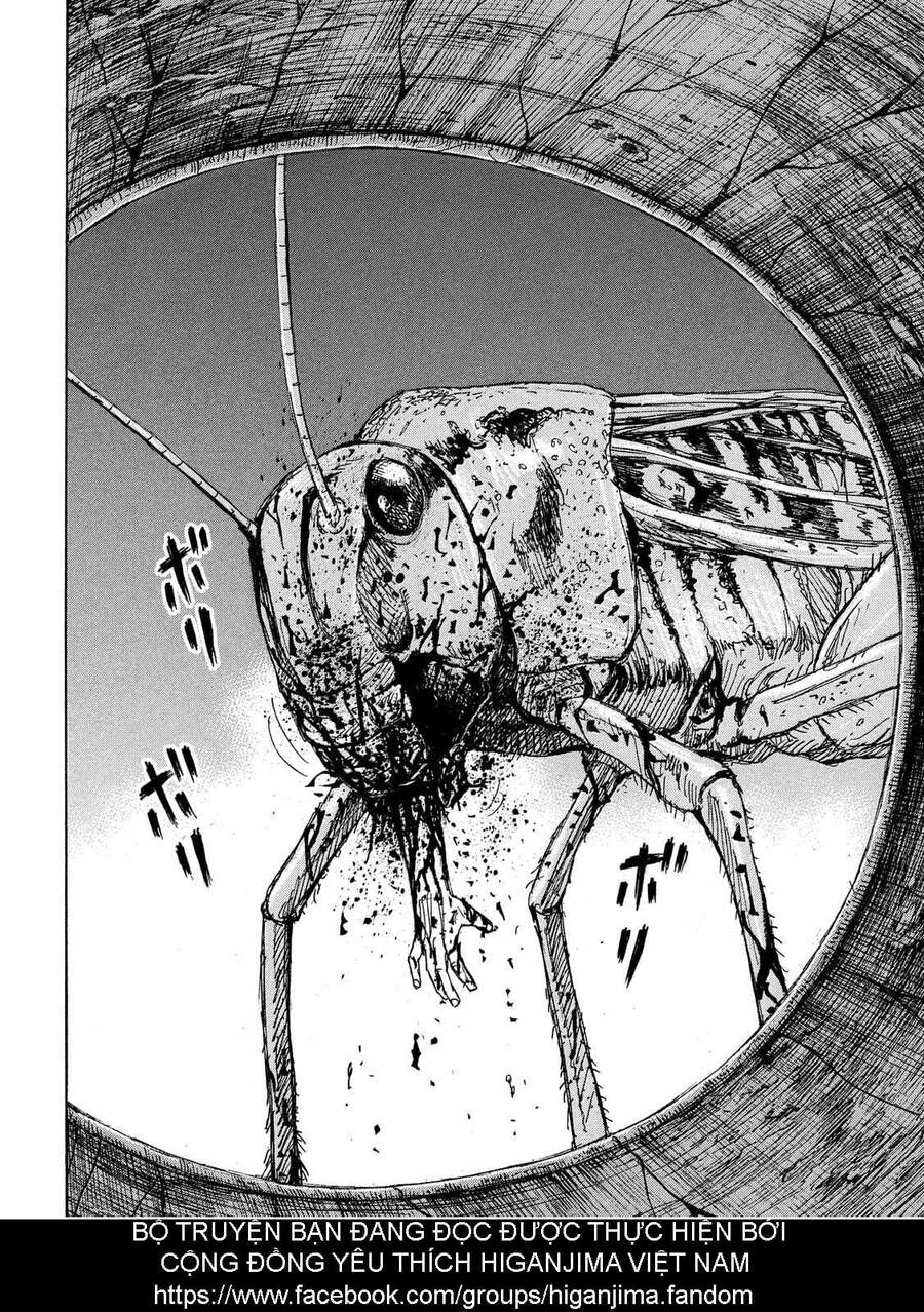 Đảo Ma Cà Rồng Phần 3: Chapter 750