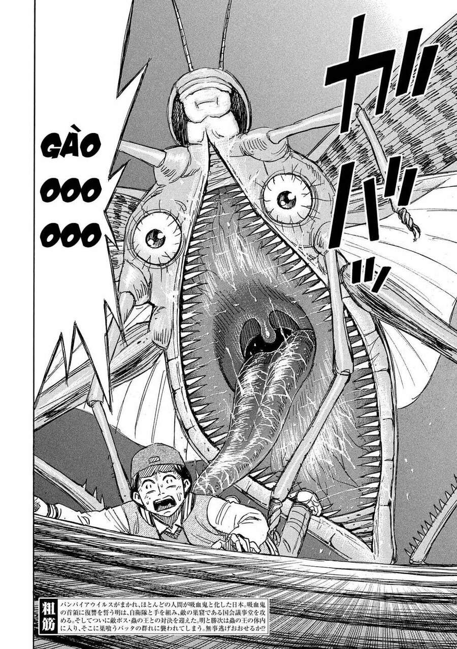 Đảo Ma Cà Rồng Phần 3: Chapter 752