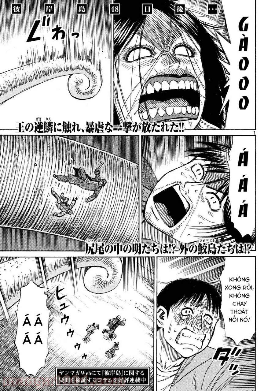 Đảo Ma Cà Rồng Phần 3: Chapter 753