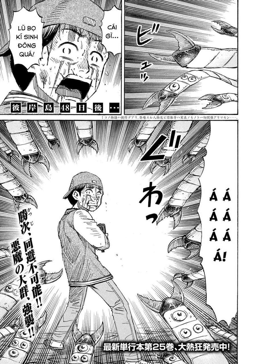 Đảo Ma Cà Rồng Phần 3: Chapter 756