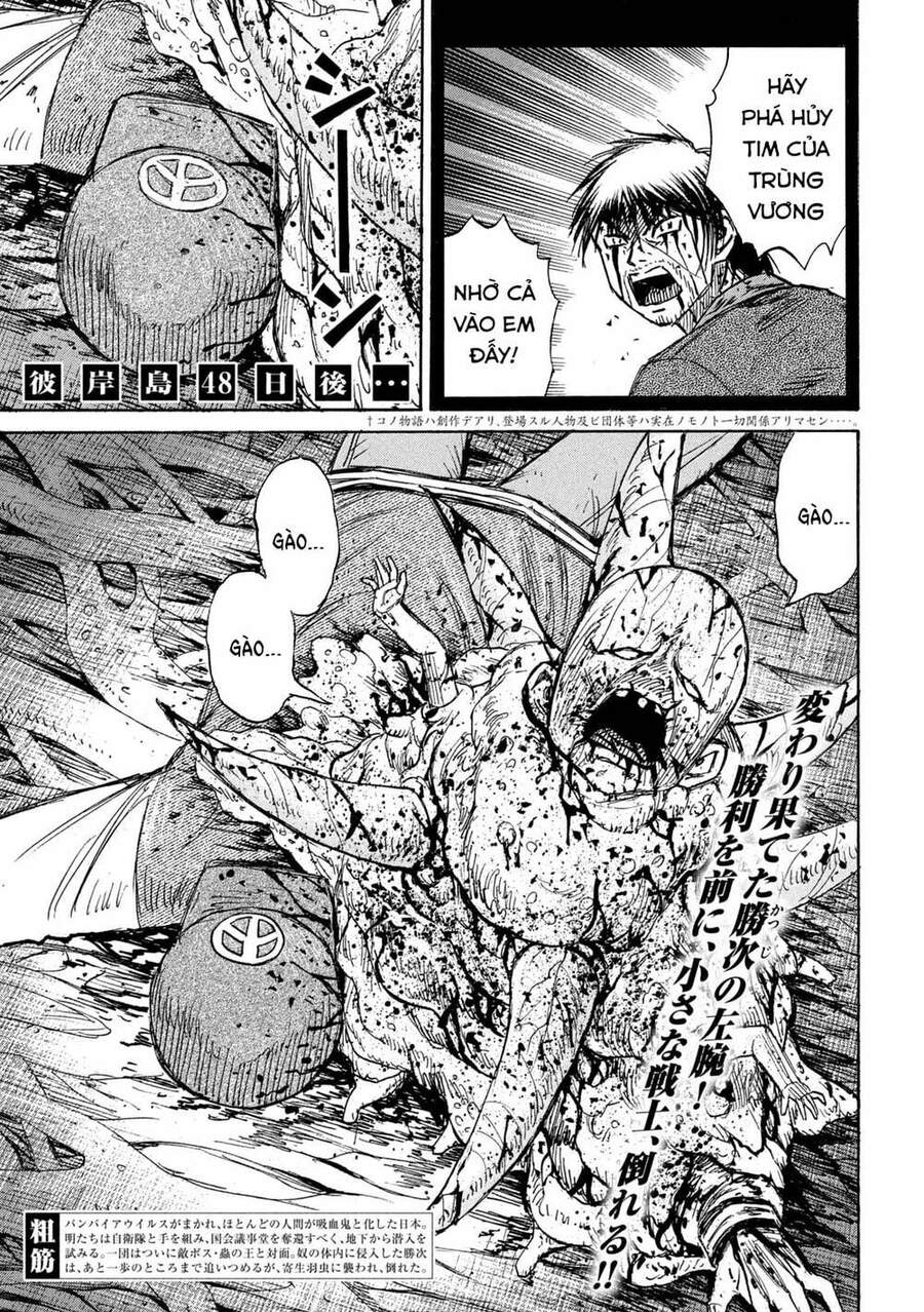 Đảo Ma Cà Rồng Phần 3: Chapter 757