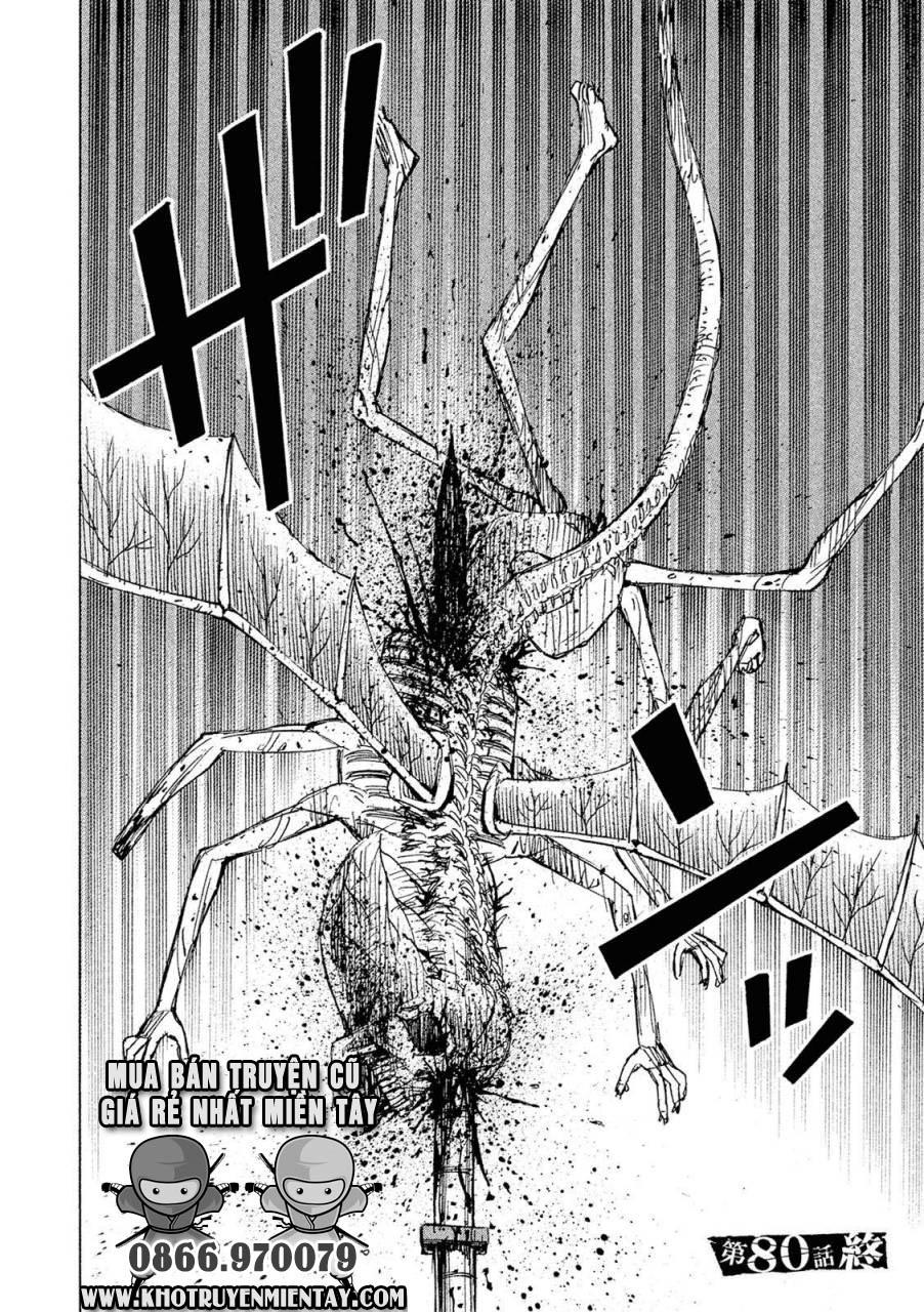 Đảo Ma Cà Rồng Phần 3: Chapter 80