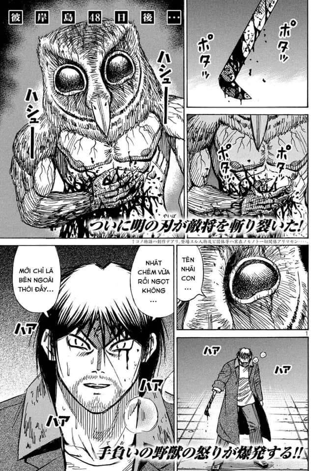 Đảo Ma Cà Rồng Phần 3: Chapter 802