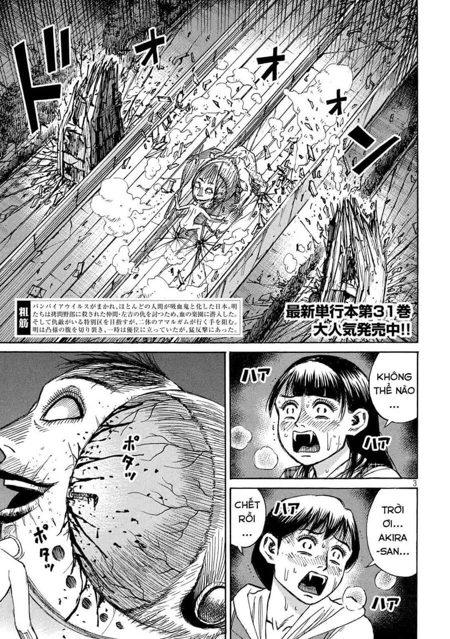 Đảo Ma Cà Rồng Phần 3: Chapter 804