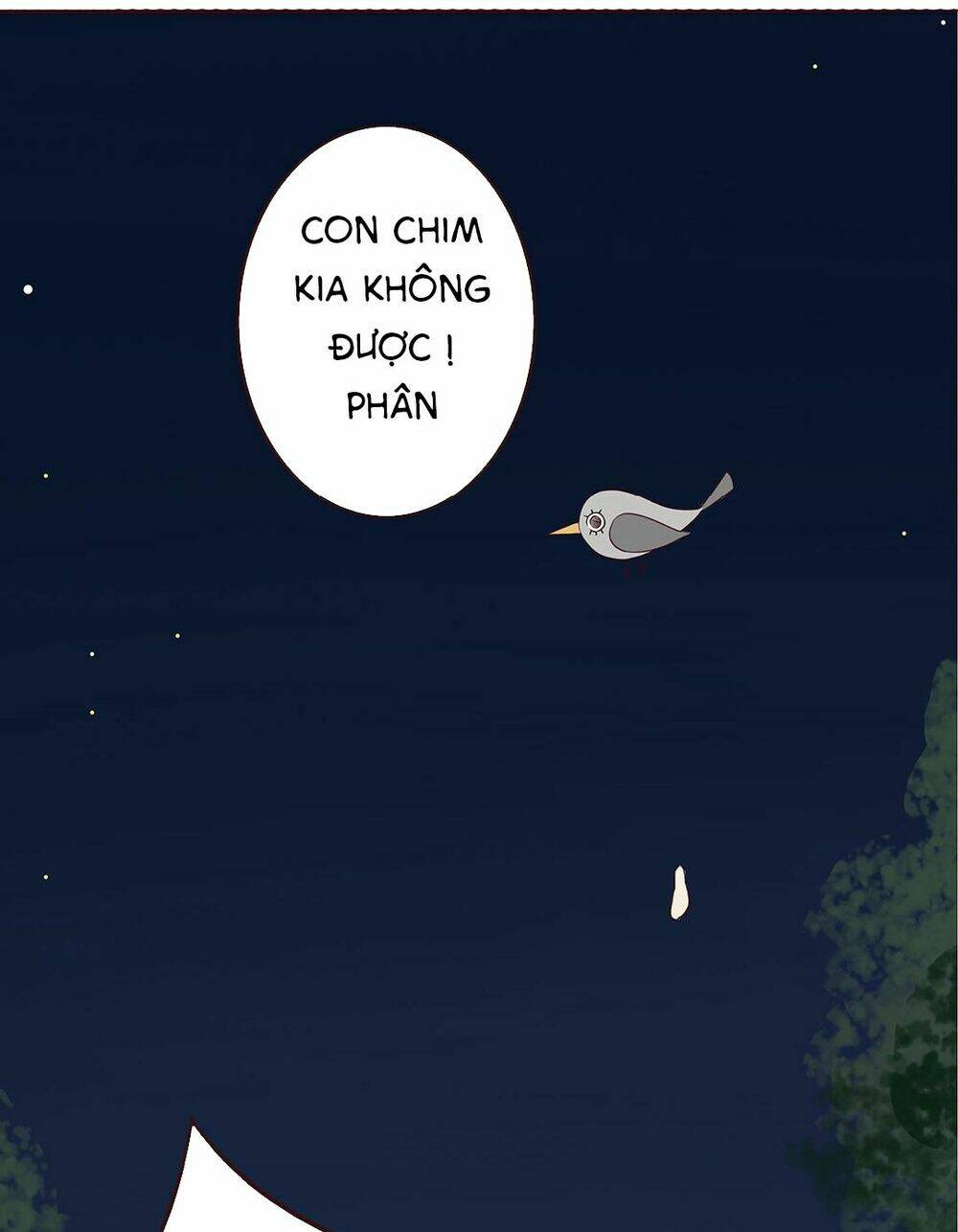 Đế Quân Không Biết Yêu: Chapter 2