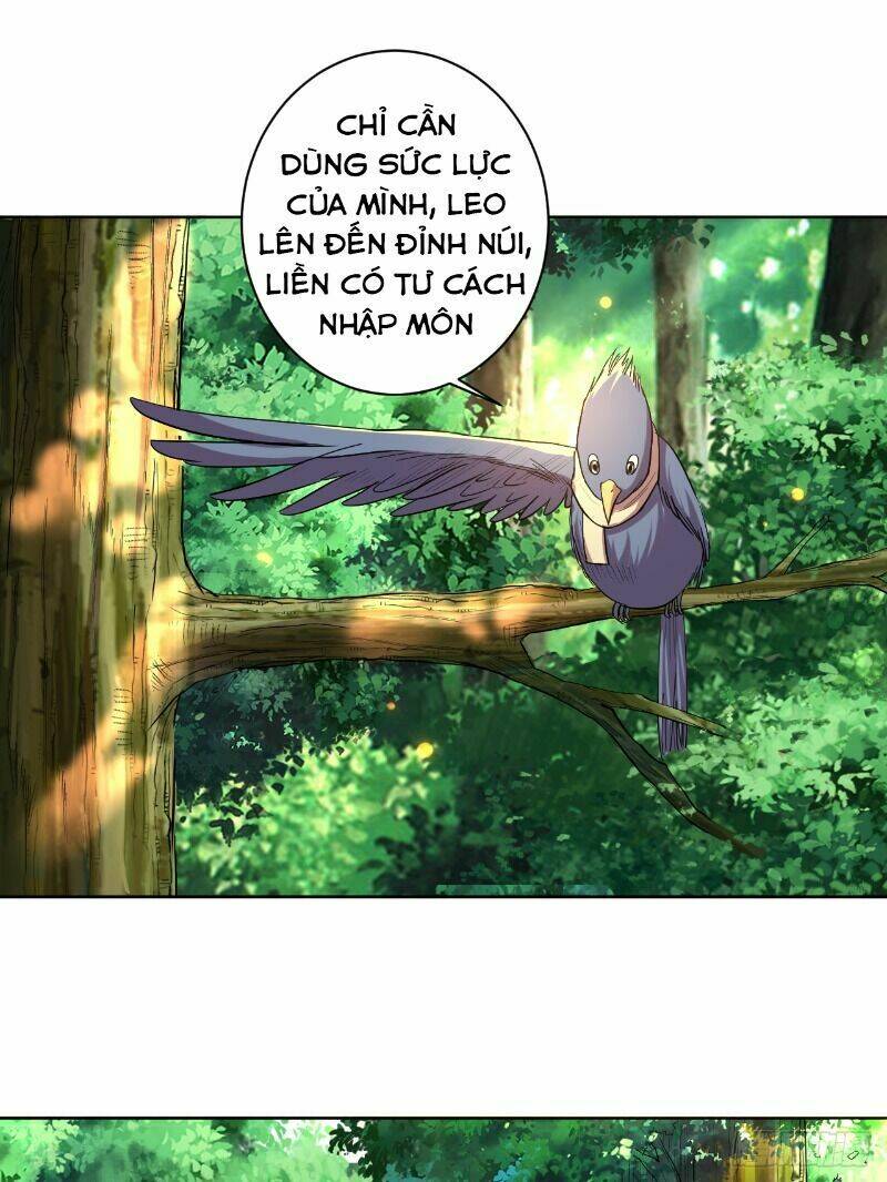 Đệ Tử Của Ta Đều Là Súp Bờ Thần: Chapter 15