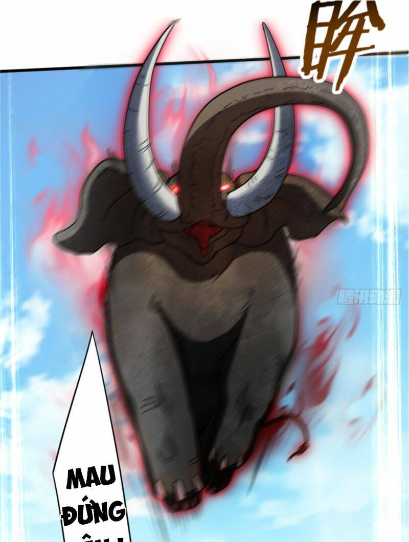 Đệ Tử Của Ta Đều Là Súp Bờ Thần: Chapter 82